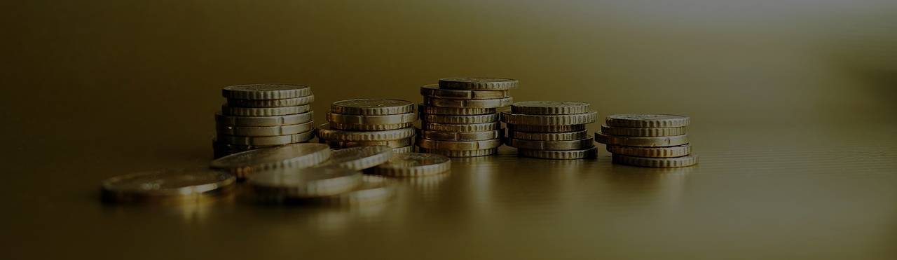 The Basics of Investing: A Guide for Beginners - Vanturas