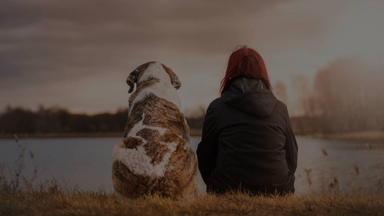 The Evolution of Friendships: Navigating Changes After Marriage - Vanturas
