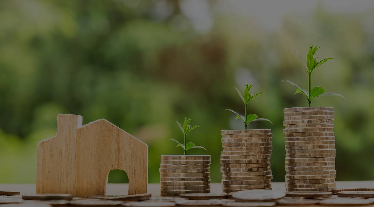 Understanding the Basics of Investing: A Simplified Guide for Beginners - Vanturas