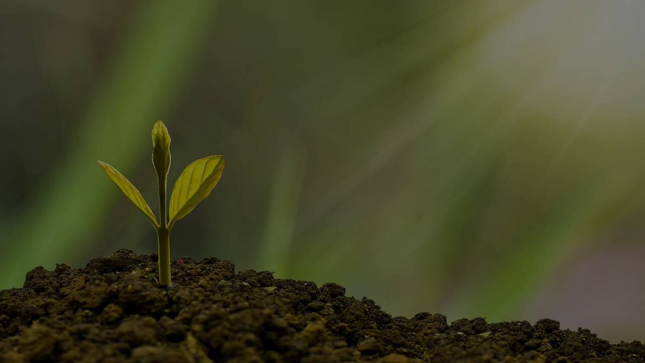 Understanding Your Wealth Status: What Percentage Am I In? - Vanturas
