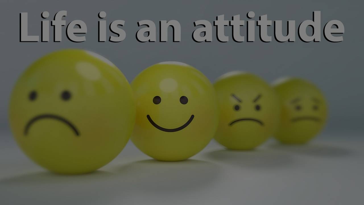Unlocking the Power of Motivation: Can it be Learned? - Vanturas